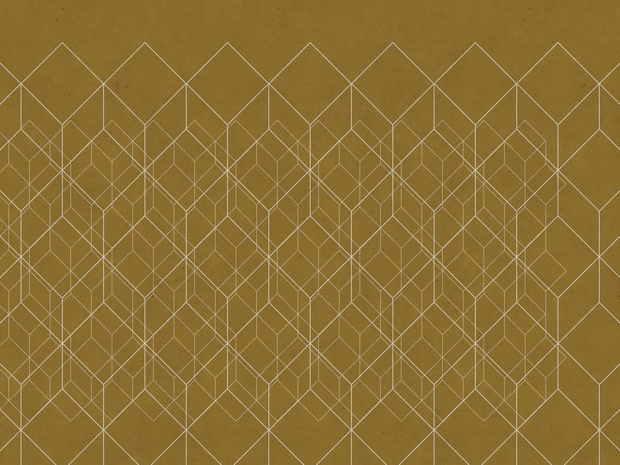 NETWORK