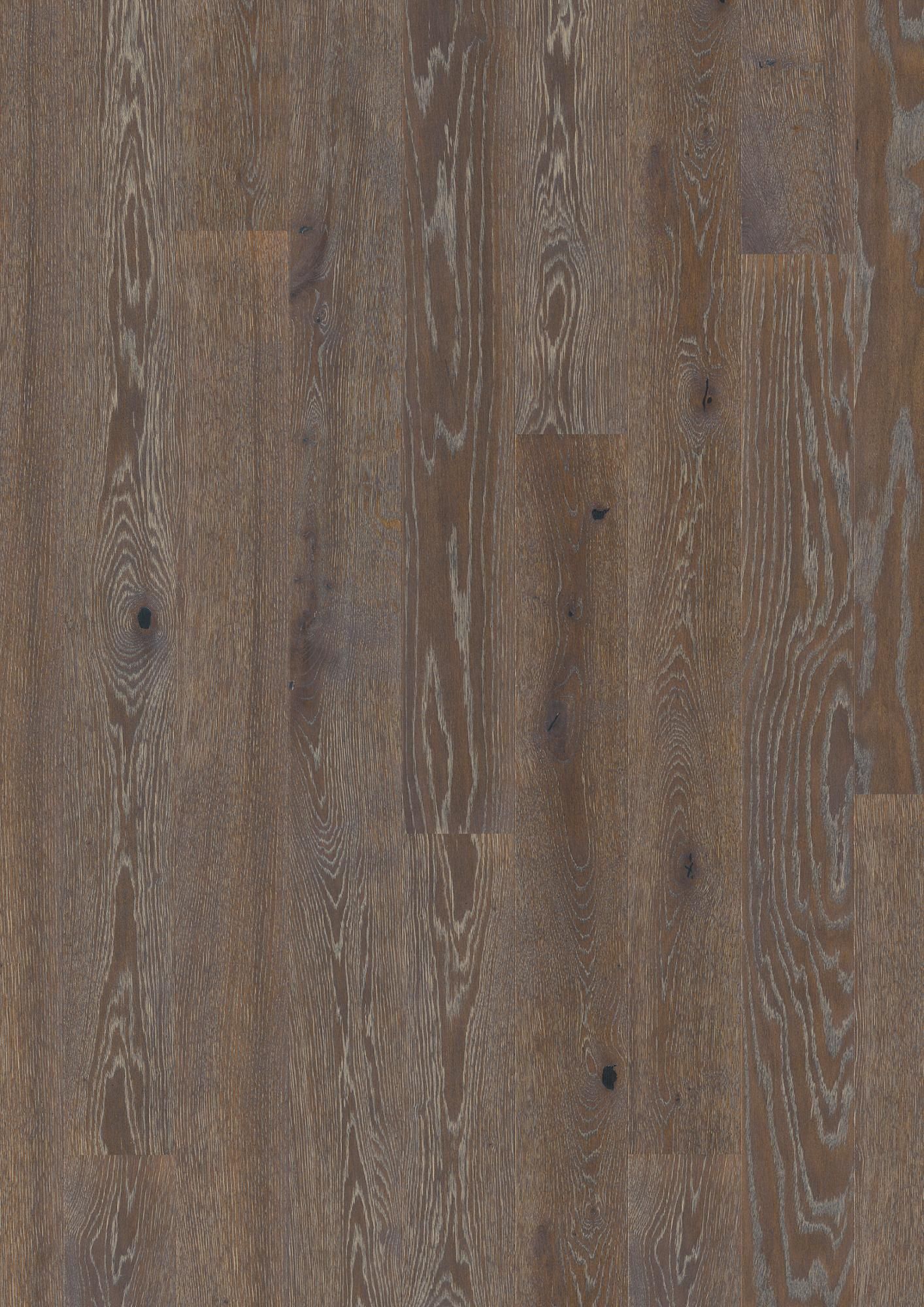 PLANCIA OAK GRAPHITE