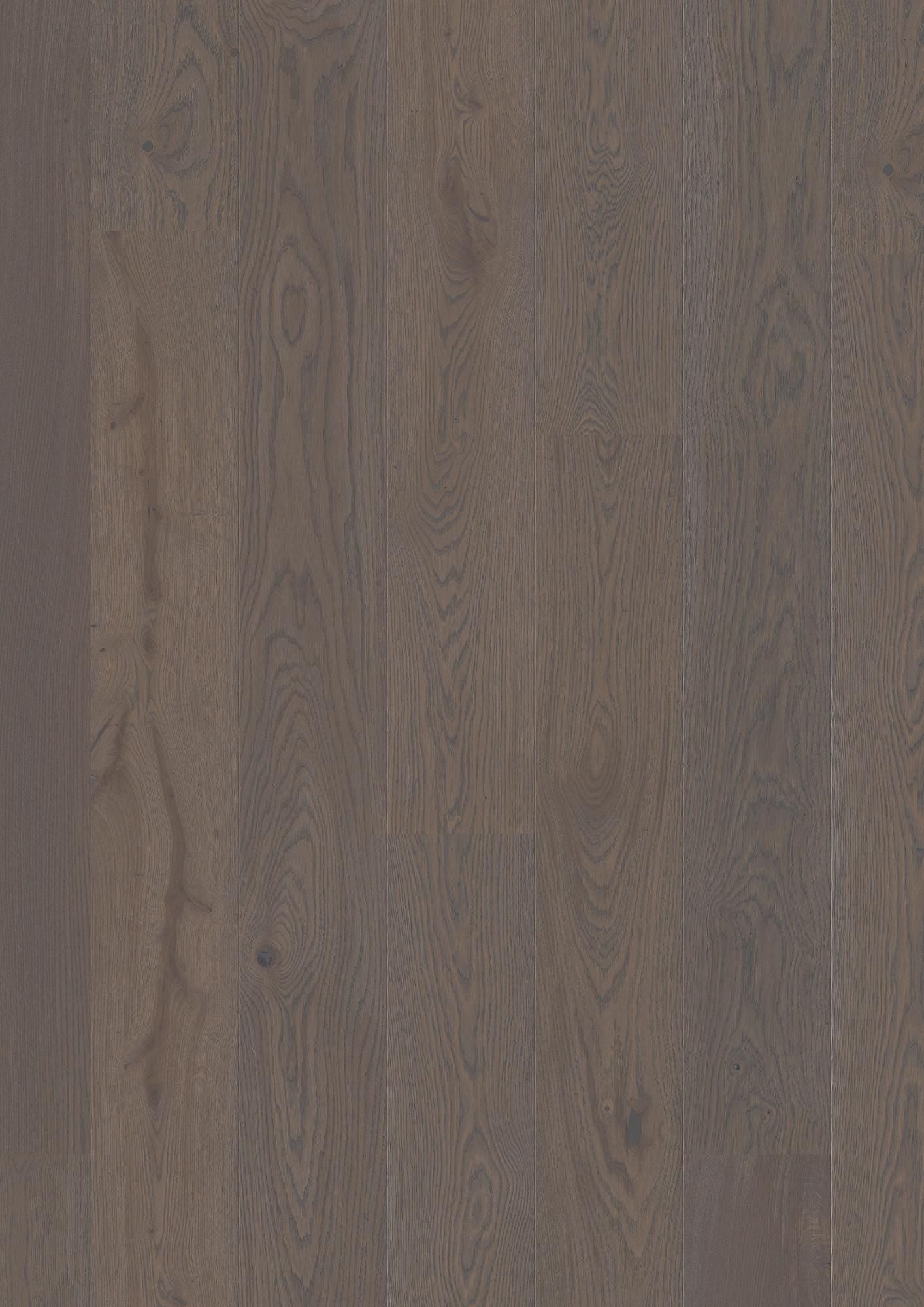 PLANCIA OAK GREY PEPPER