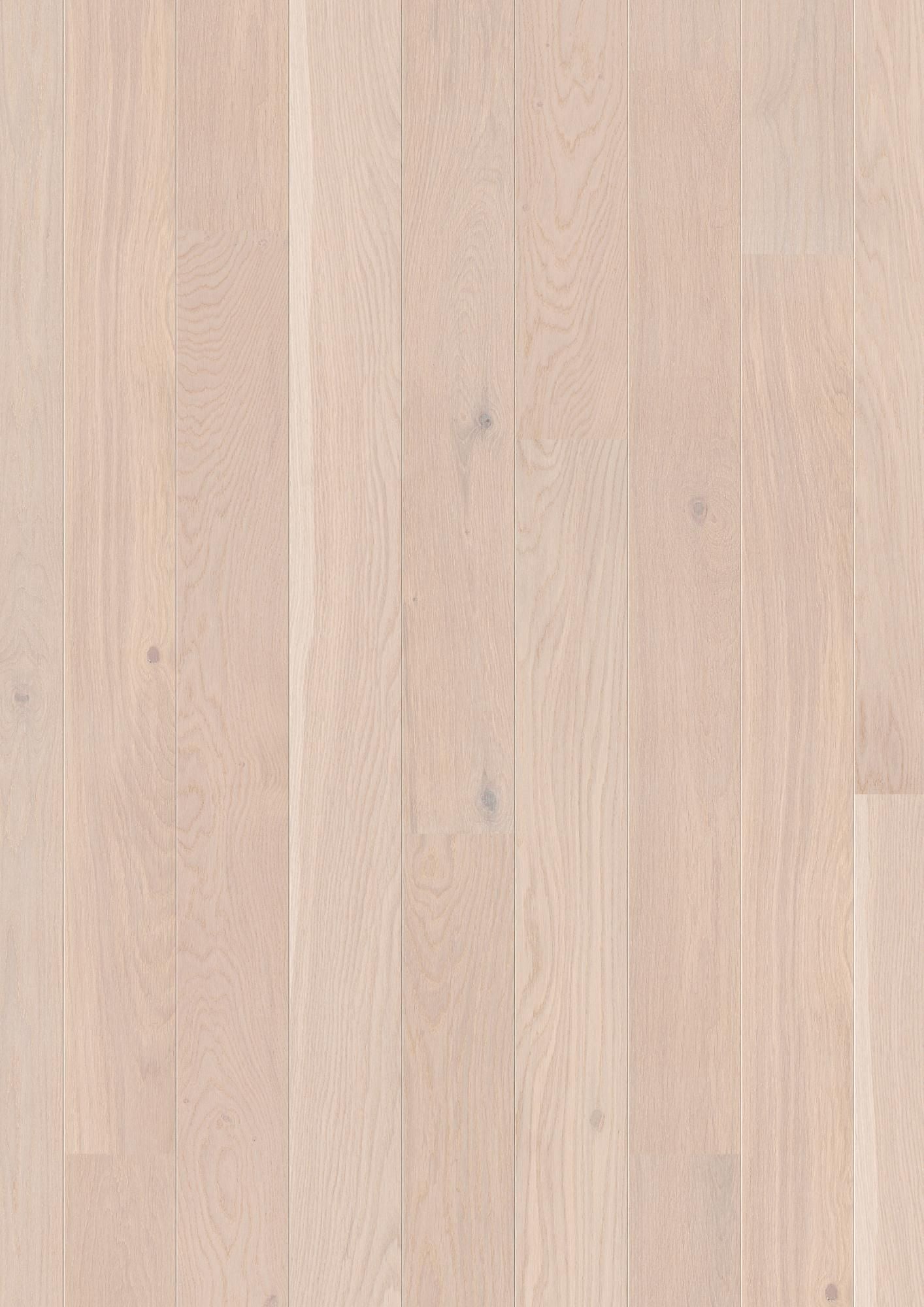 PLANCIA OAK PEARL