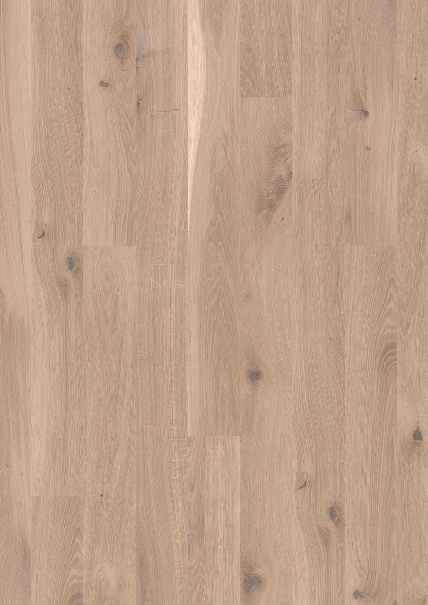 PLANCIA OAK VIVO WHITE