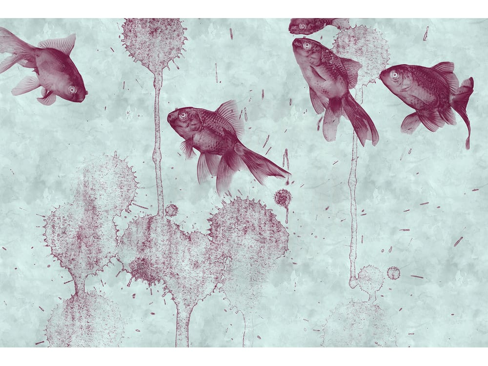 POND
