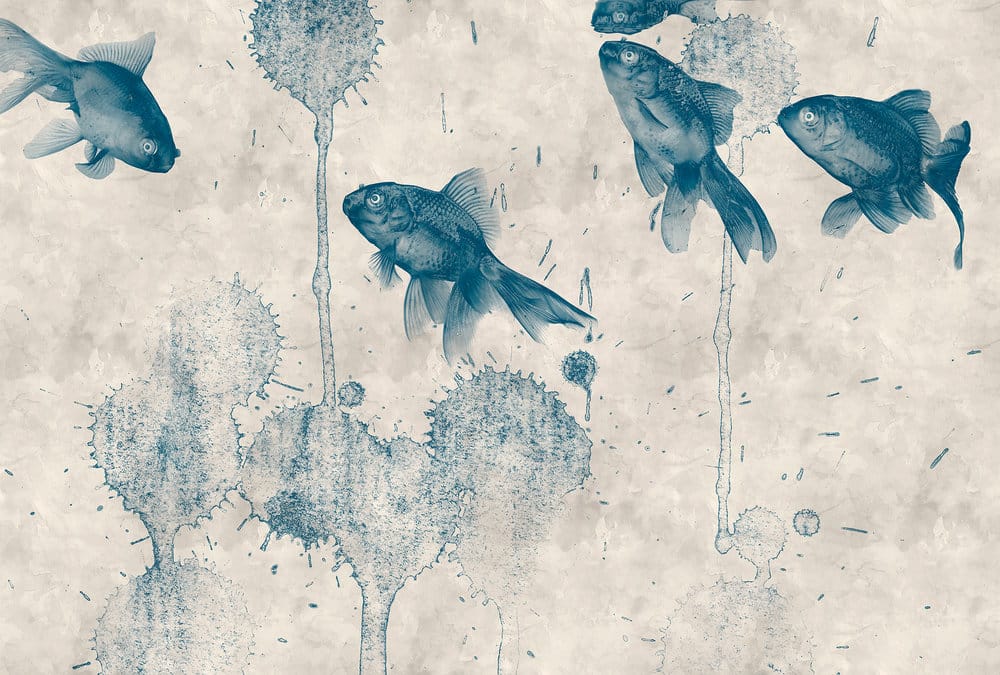 POND