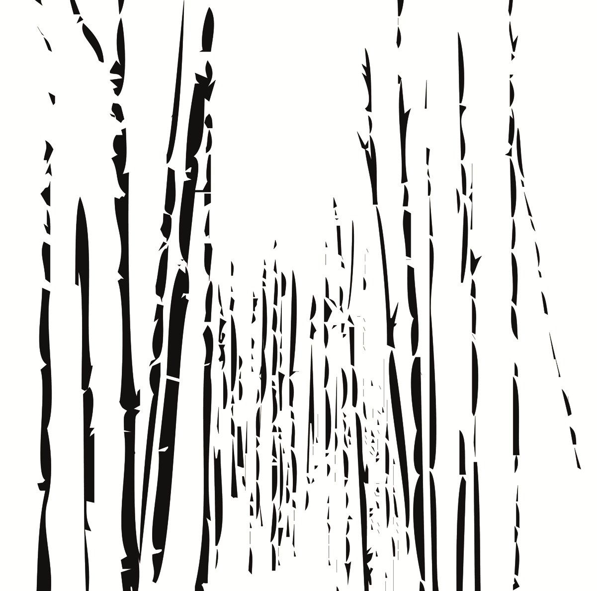 BAMBOO