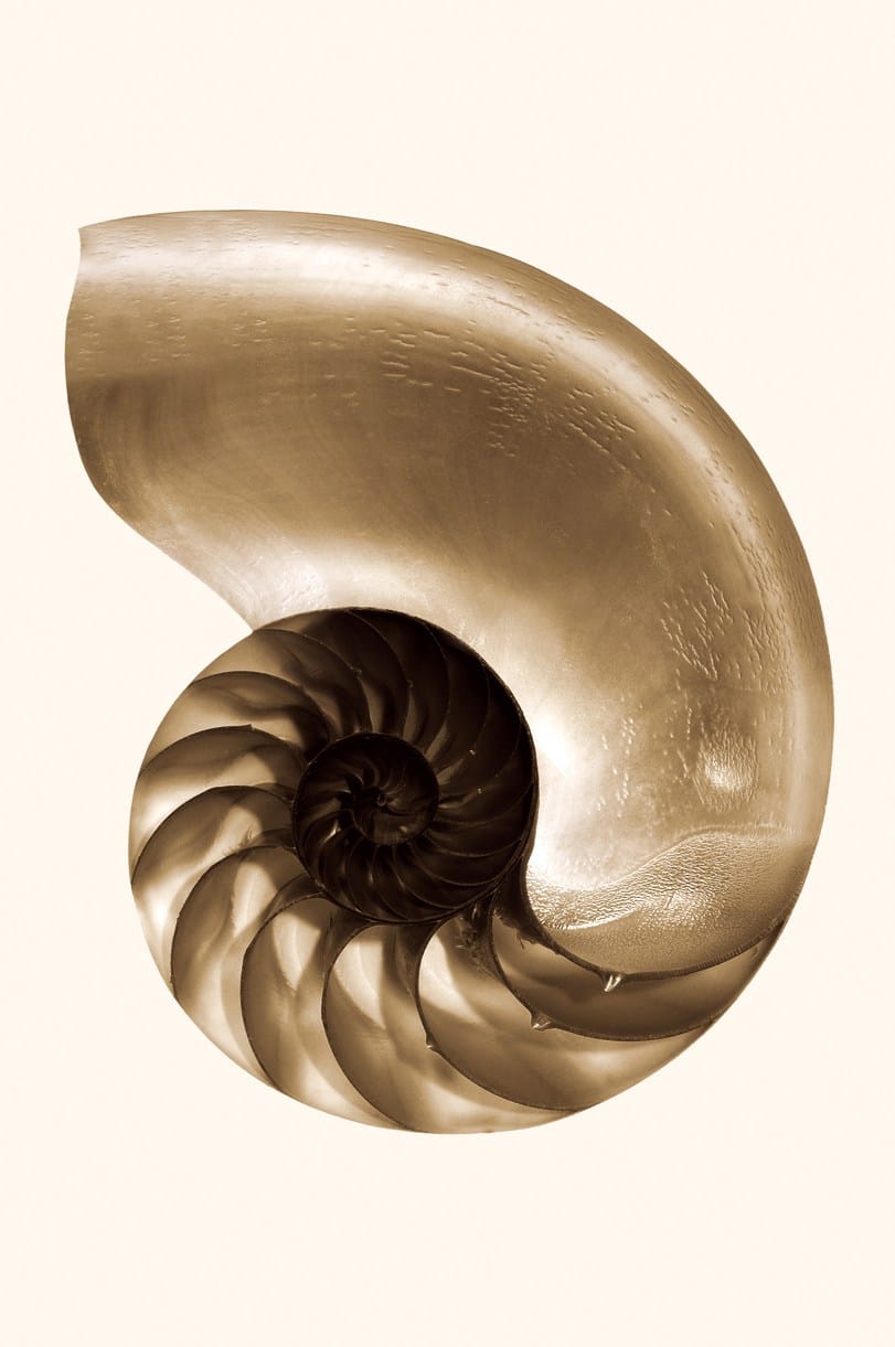 NAUTILUS