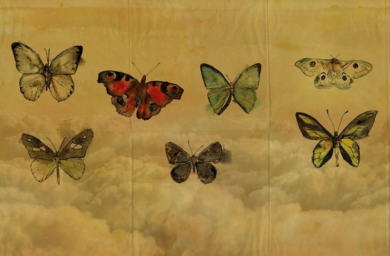 BUTTERFLIES