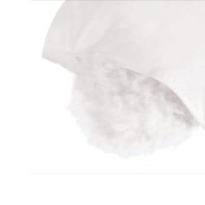 Goose feather pillow