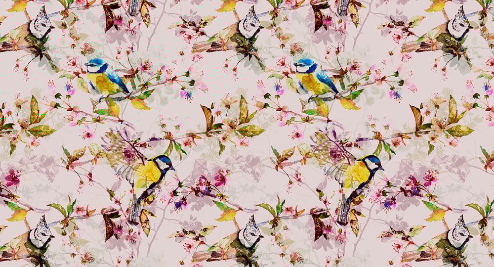 SONGBIRDS