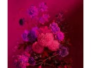 BOUQUET VIBRAN