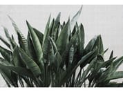 URBAN JUNGLE