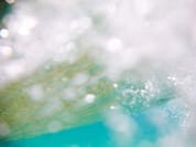 AQUATIC