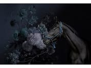 HORSES