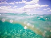AQUATIC