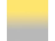 COLOUR STUDIO
