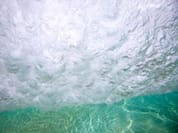AQUATIC