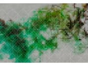 COLOUR NETWORK